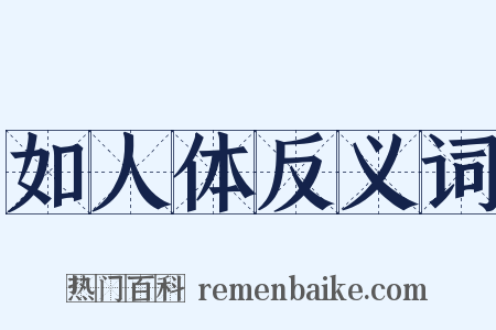 如人体反义词是什么意思的图片